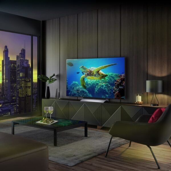 OLED55C36LC.alt6_-2.jpg